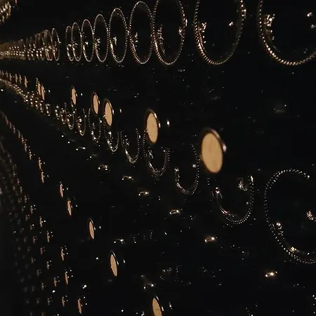 Bakucha Vineyard Ve فندق Luleburgaz