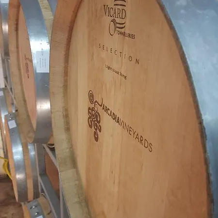 Bakucha Vineyard Ve فندق *