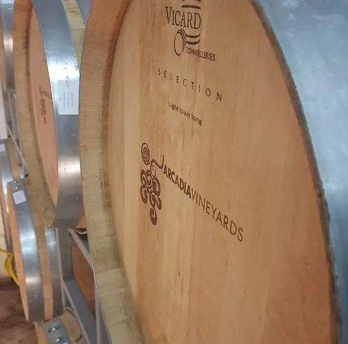 Bakucha Vineyard Ve Hotel *